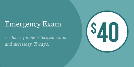 $40 Emergency Exam. Includes problem-focused exam and necessary X-ray's.